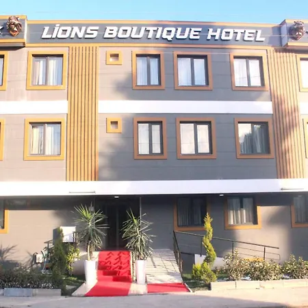 Lions Boutique Hotel 3*